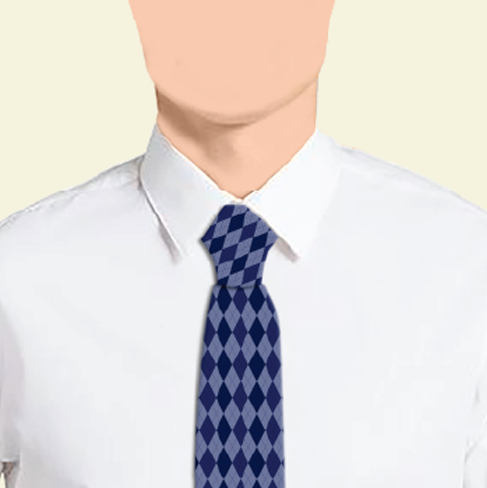 Masonic Blue Tie - Emblematic Collection 2380